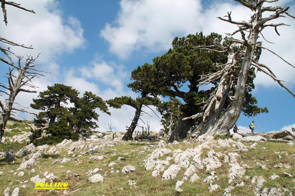 Villa Agriturismo Acampora à Cerchiara di Calabria Extérieur photo