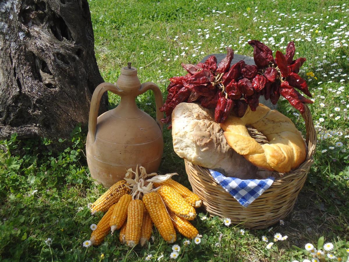 Villa Agriturismo Acampora à Cerchiara di Calabria Extérieur photo